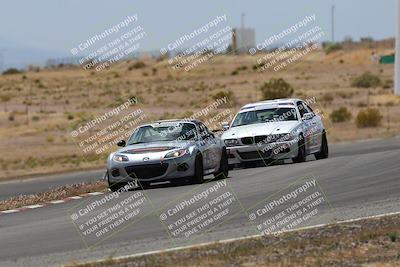 media/May-03-2025-Lucky Dog Racing (Sat) [[206de64b9d]]/Turn 6 (150pm-230pm)/